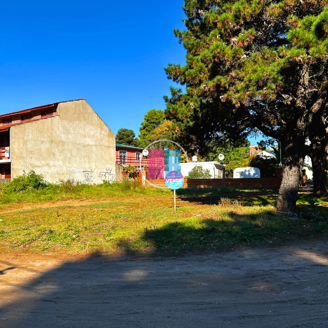 Madariaga 2990